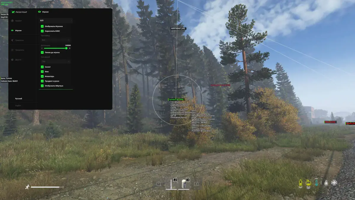 Pussycat — DayZ screenshot 2